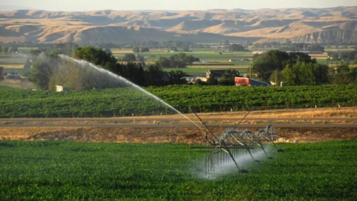 New Water Sustainability Programs