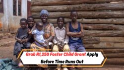 Urgent Alert: Secure Your R1,250 Foster Child Grant by September Deadline