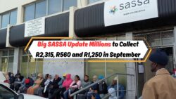SASSA Announces Huge September Grants: Millions to Receive R2,315, R560, and R1,250 Payments